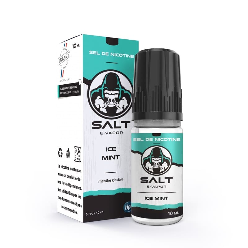 Sel de Nicotine Salt E-Vapor Ice Mint 10ml 10 mg | VAPEVO