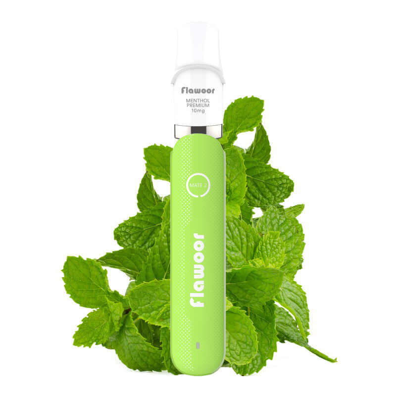 FLAWOOR Mate 2 - Puff Rechargeable 600 Puffs-10 mg-Barbe à Papa-VAPEVO