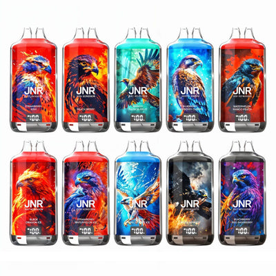 JNR Falcon X 28000 - Puff Rechargeable 20mg 20 mg Black Dragon Ice | VAPEVO